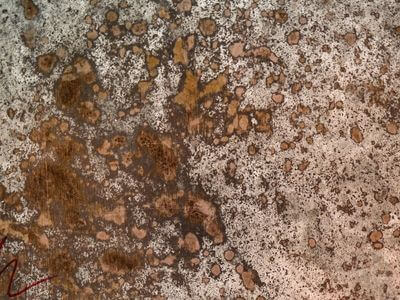 Professional water damage restoration services in Gardena - PureSpritz Team